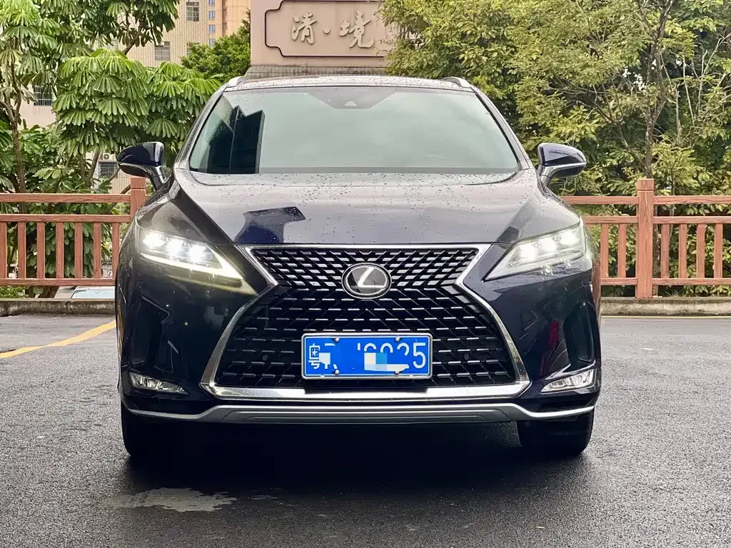 Lexus RX — фото 7