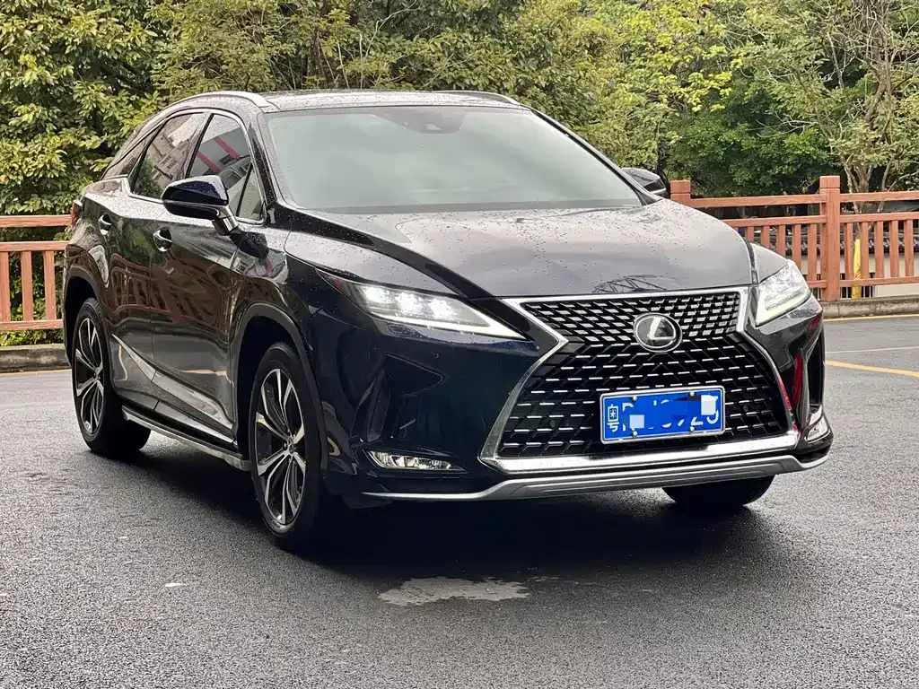 Lexus RX — фото 10