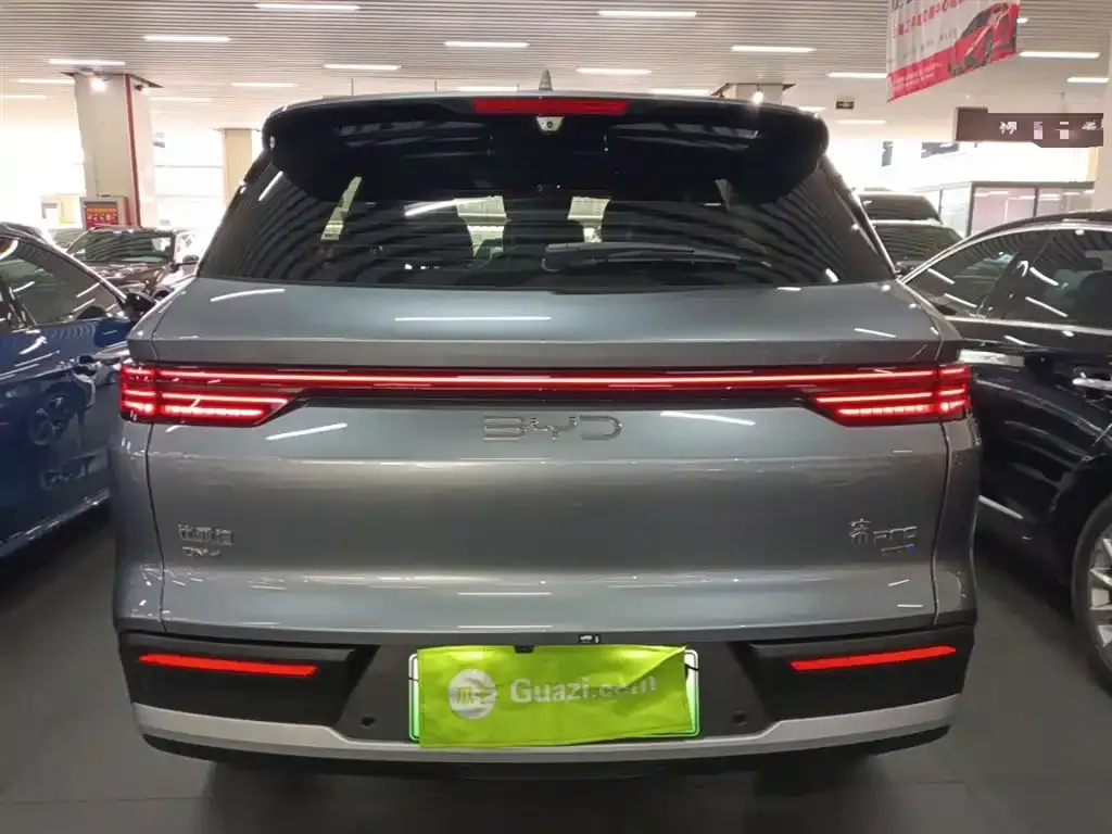 BYD Pro New Energy — фото 3