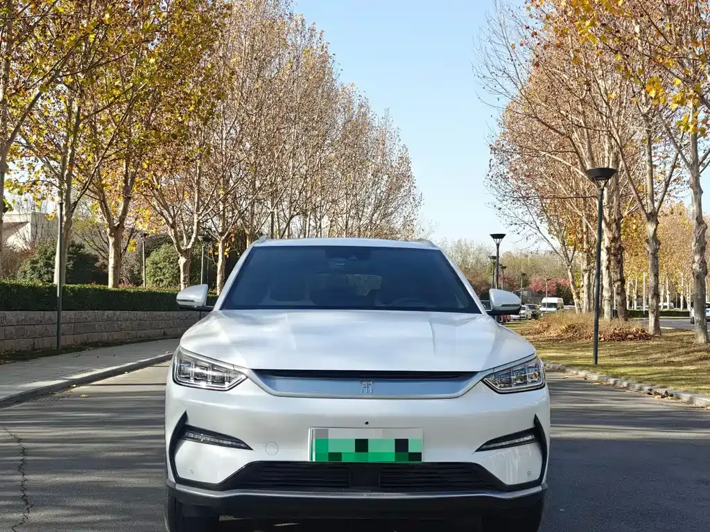 BYD PLUS New Energy — фото 6