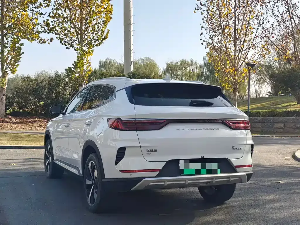 BYD PLUS New Energy — фото 8