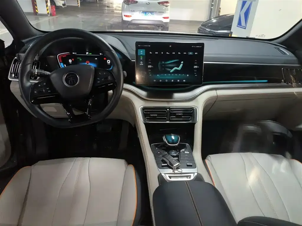 BYD PLUS New Energy — фото 10