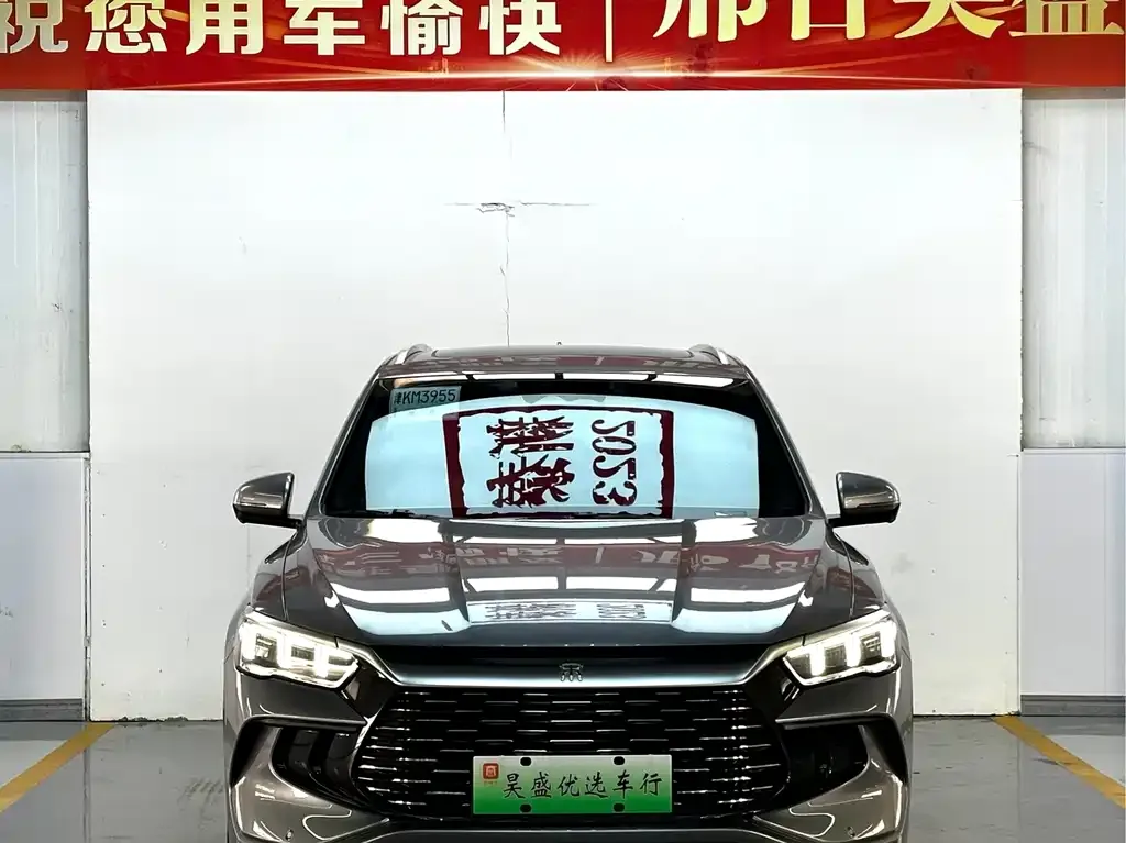 BYD Pro New Energy — фото 2