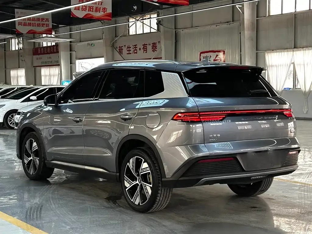 BYD Pro New Energy — фото 6