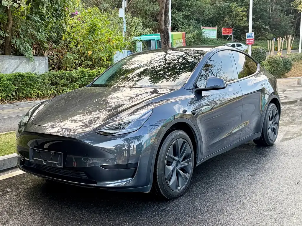 Tesla Model Y — фото 1