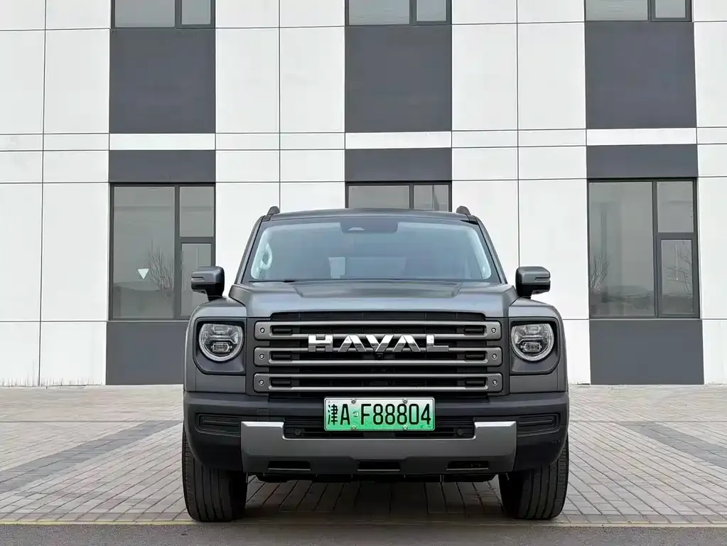 Haval Menglong New Energy — фото 1