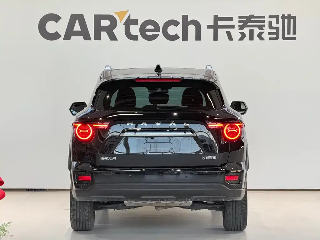 Haval H7 (Big Dog Plus) — фото 3