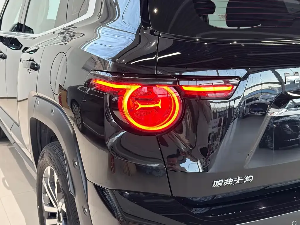 Haval H7 (Big Dog Plus) — фото 10