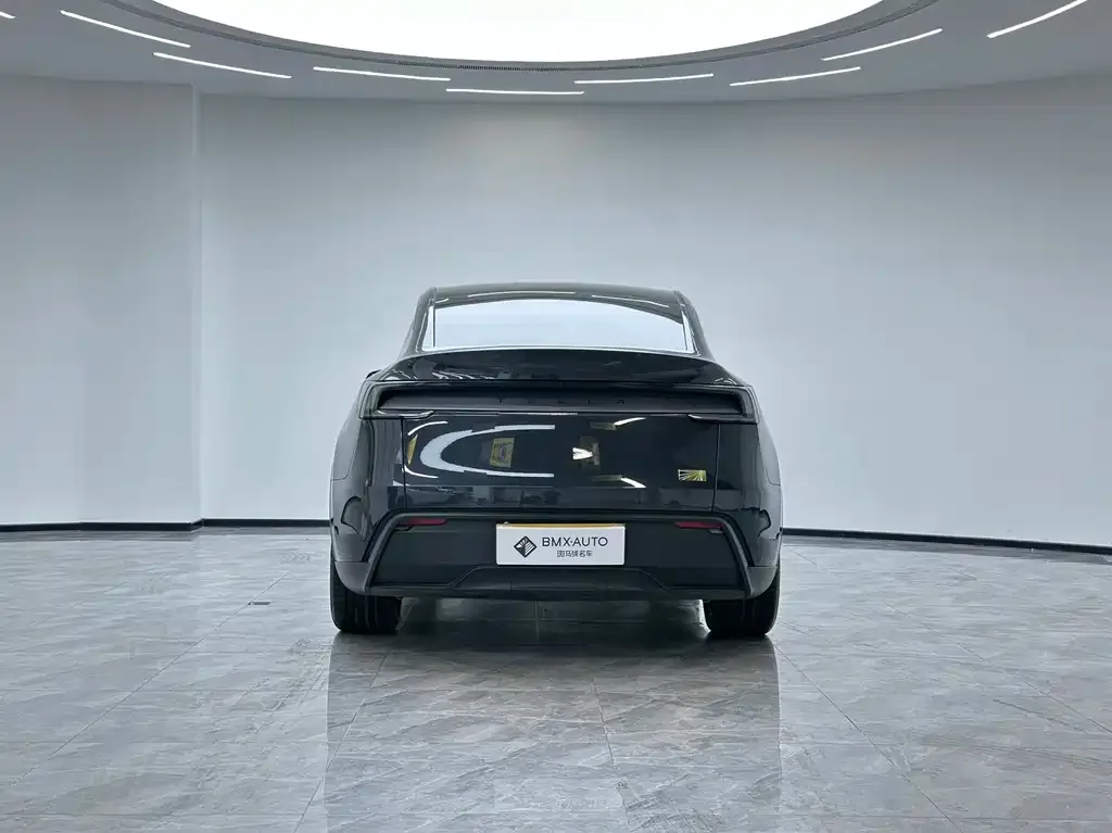 Tesla Model Y — фото 5
