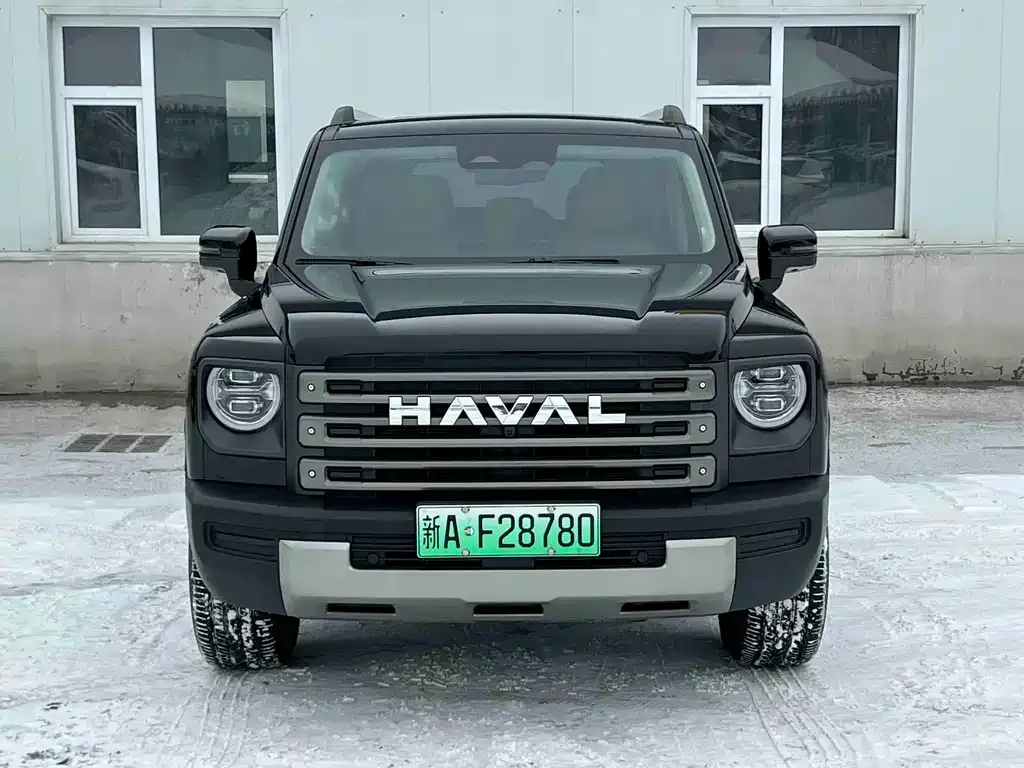 Haval Menglong New Energy — фото 9