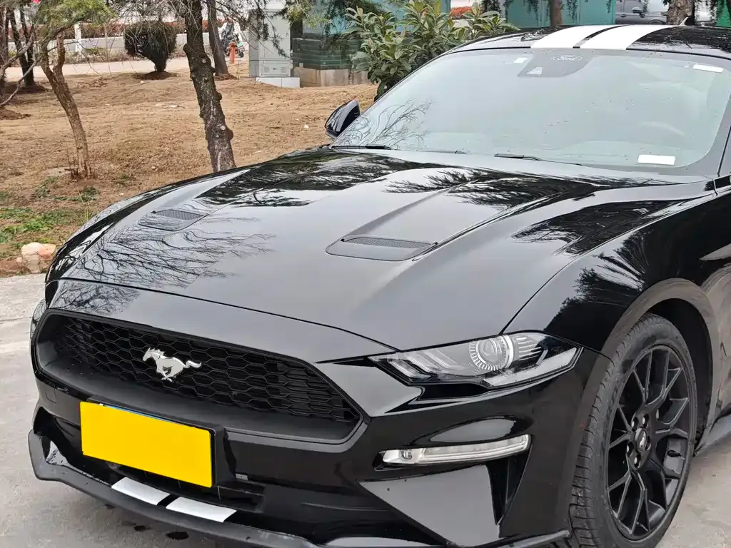Ford Mustang — фото 1
