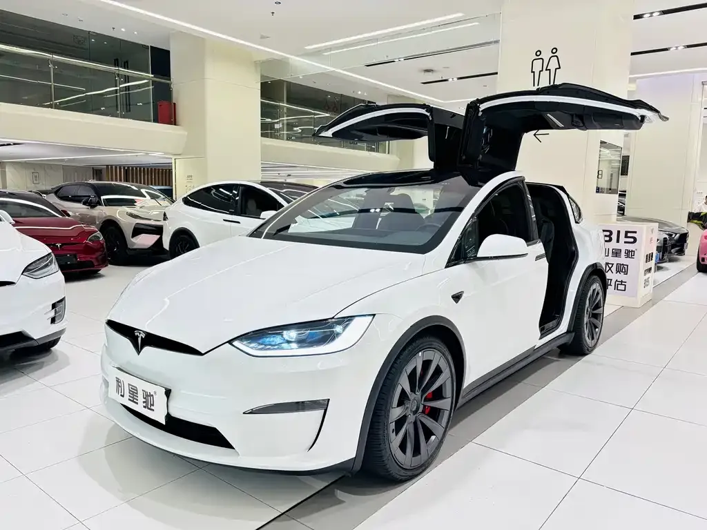 Tesla Model X — фото 1