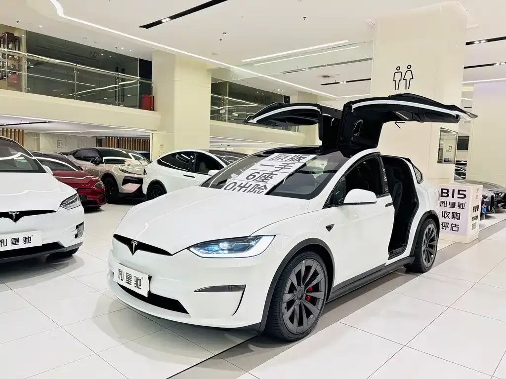 Tesla Model X — фото 7