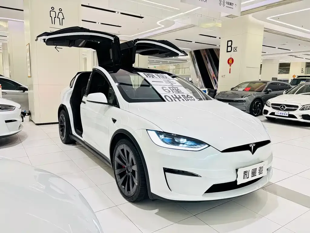 Tesla Model X — фото 9