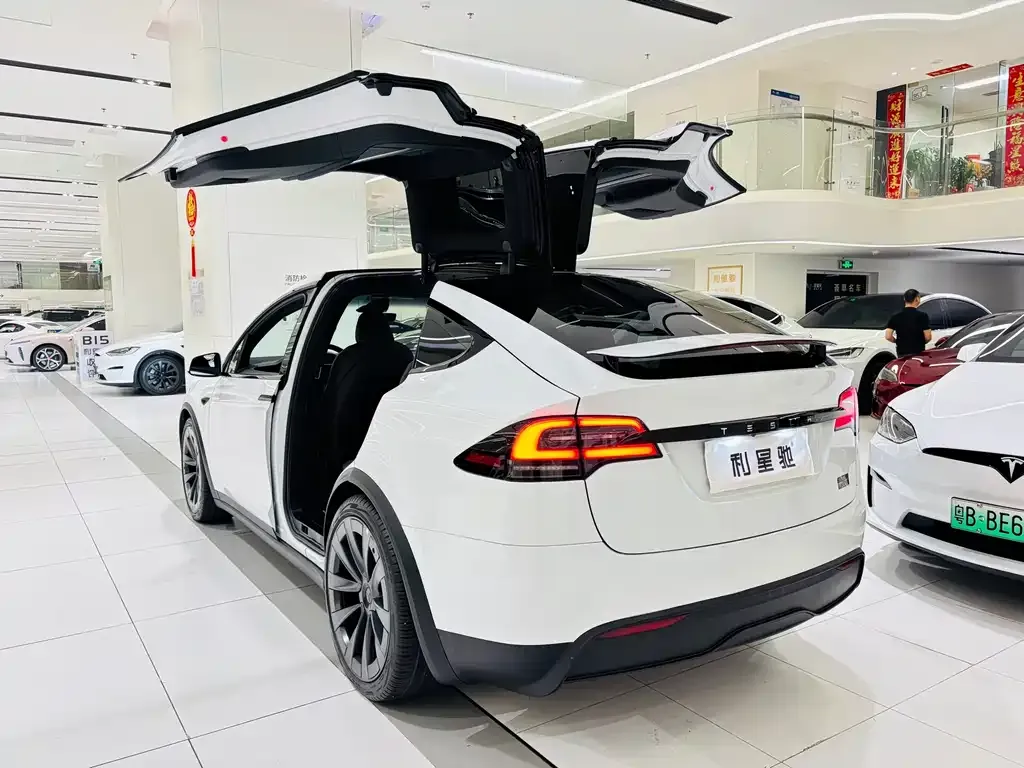 Tesla Model X — фото 10
