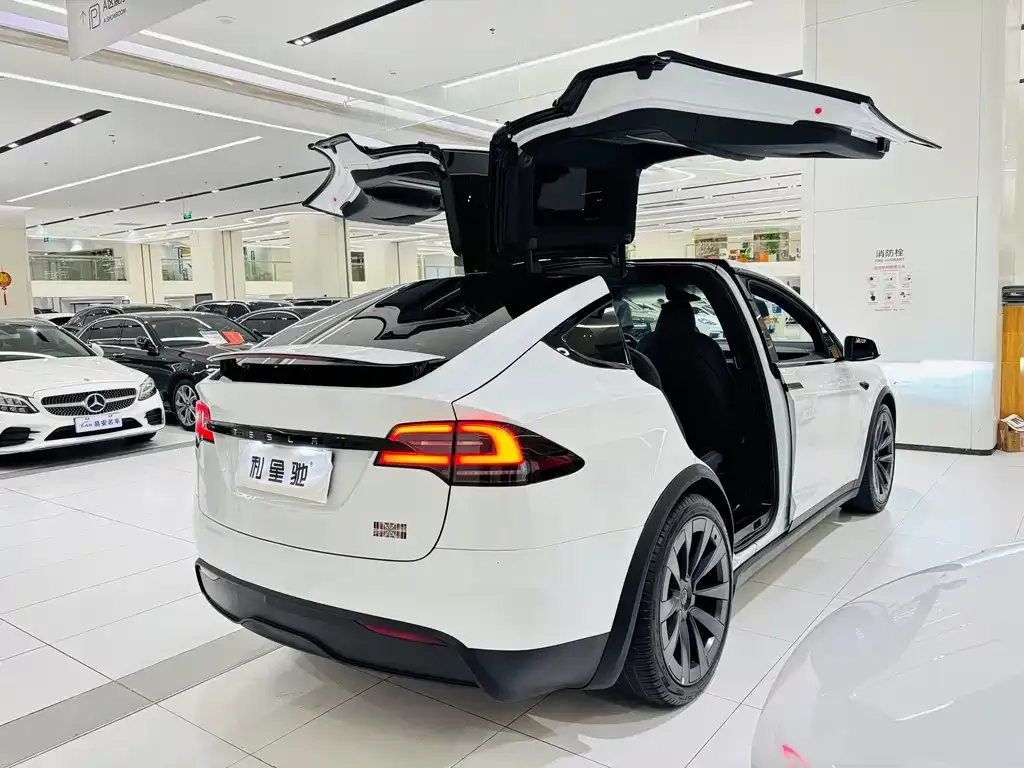 Tesla Model X — фото 6