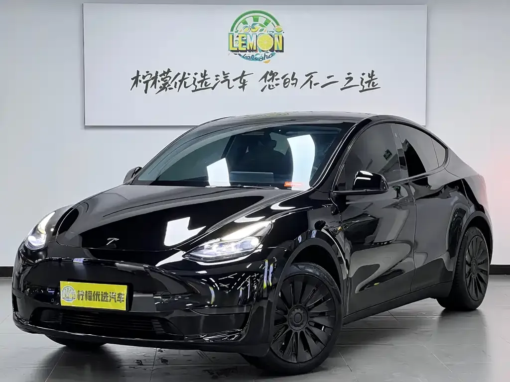 Tesla Model Y — фото 1