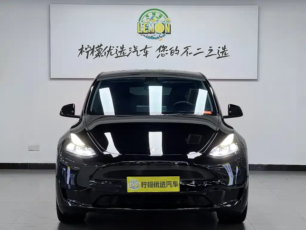 Tesla Model Y — фото 2
