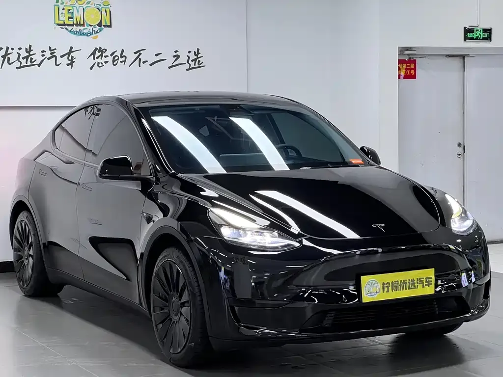 Tesla Model Y — фото 4
