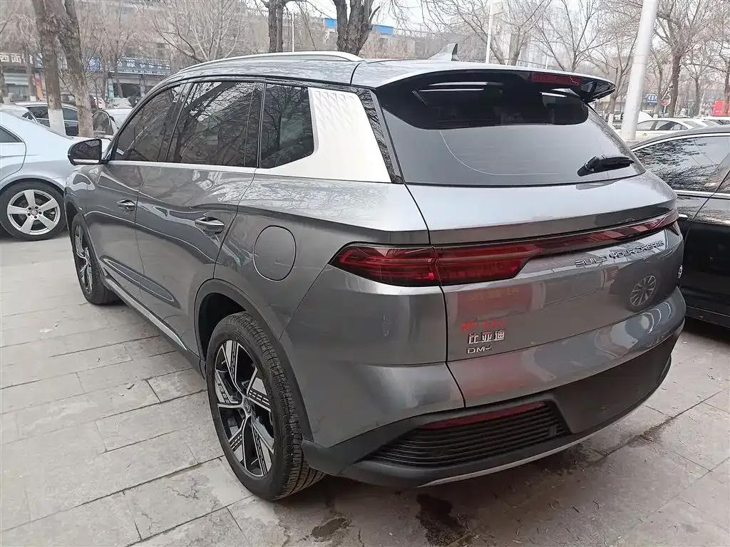 BYD Pro New Energy — фото 8