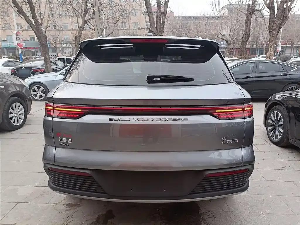 BYD Pro New Energy — фото 9
