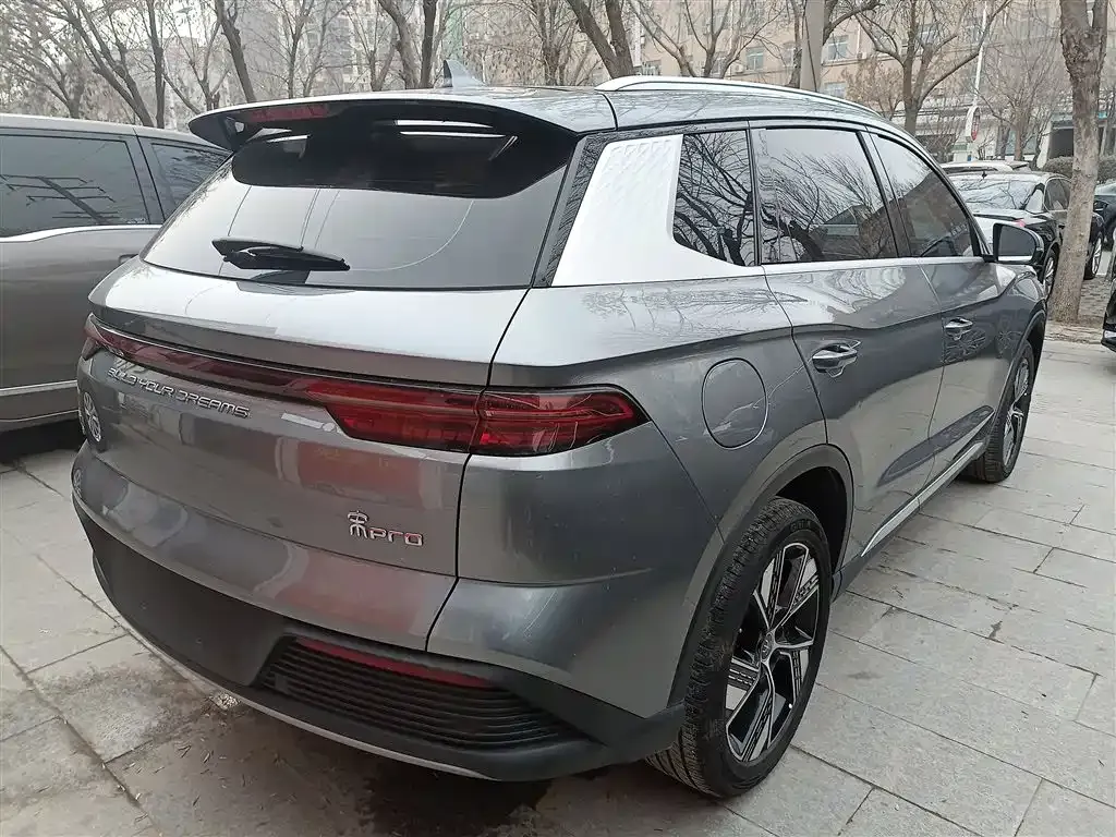 BYD Pro New Energy — фото 10