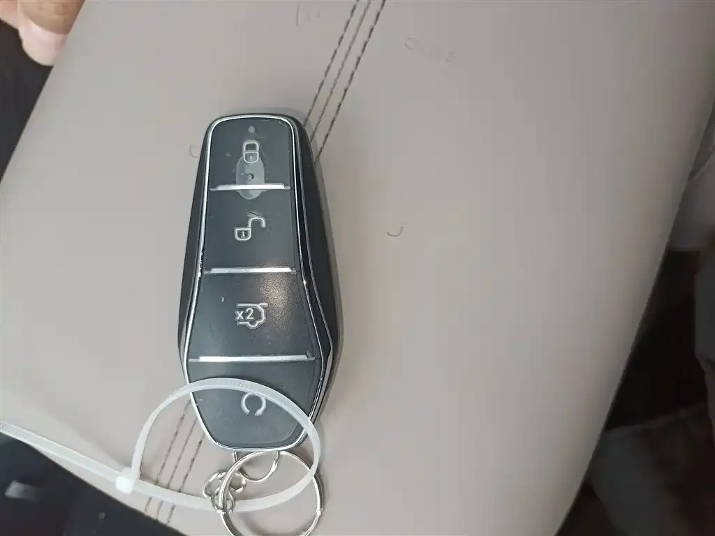 BYD Pro New Energy — фото 2
