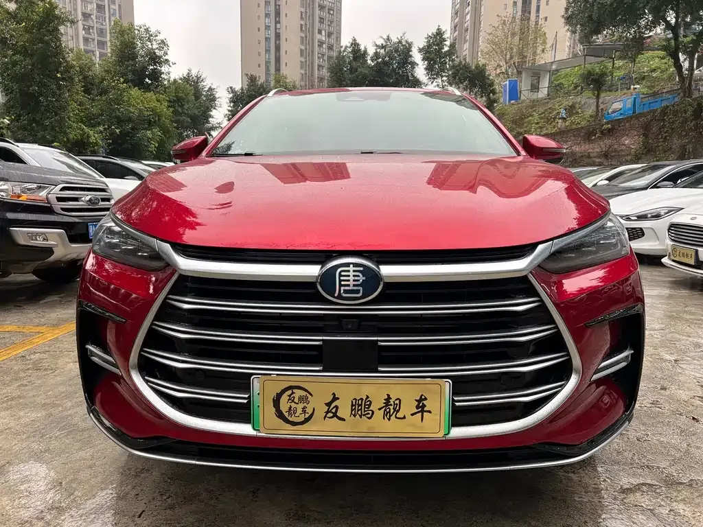 BYD Tang New Energy — фото 4