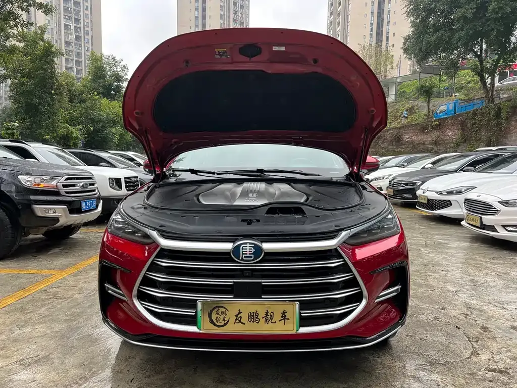 BYD Tang New Energy — фото 8