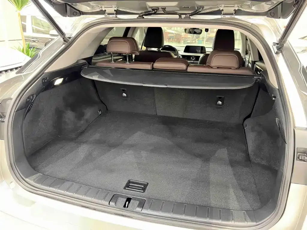 Lexus RX — фото 9