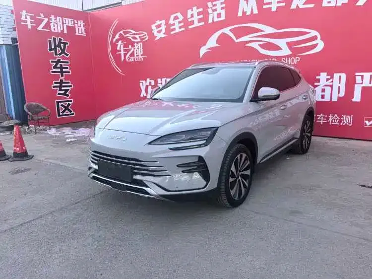 BYD PLUS New Energy — фото 3