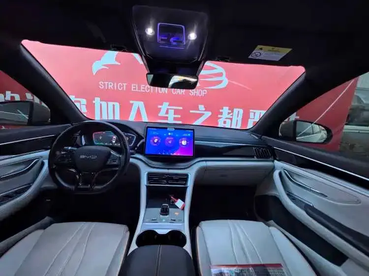 BYD PLUS New Energy — фото 2