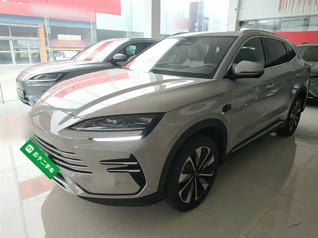 BYD PLUS New Energy — фото 1