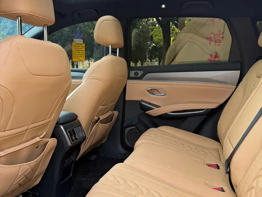 BYD L DM-i — фото 10