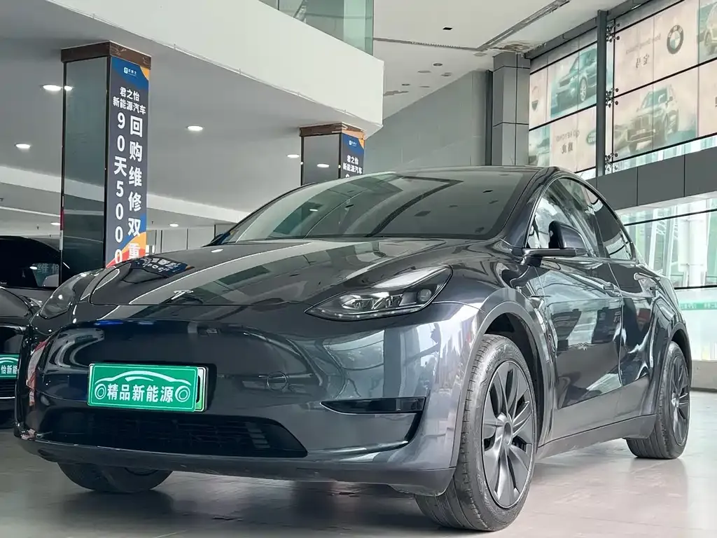 Tesla Model Y — фото 1
