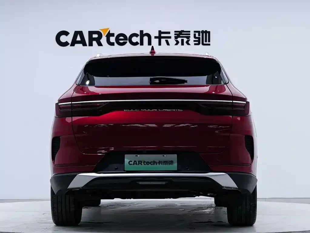 BYD PLUS New Energy — фото 4