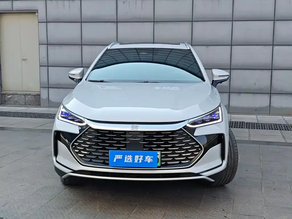 BYD Tang New Energy — фото 5