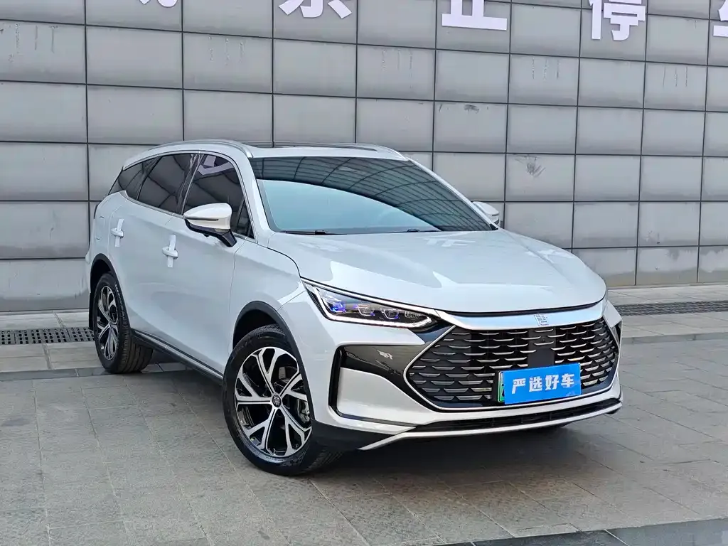BYD Tang New Energy — фото 7