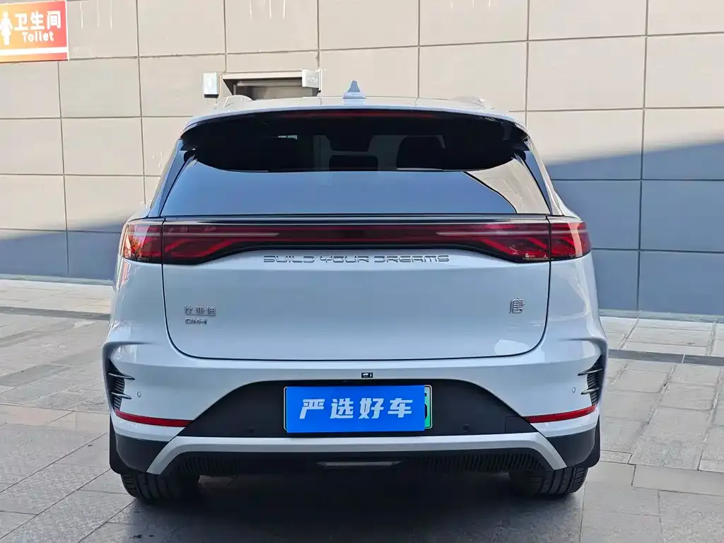 BYD Tang New Energy — фото 2