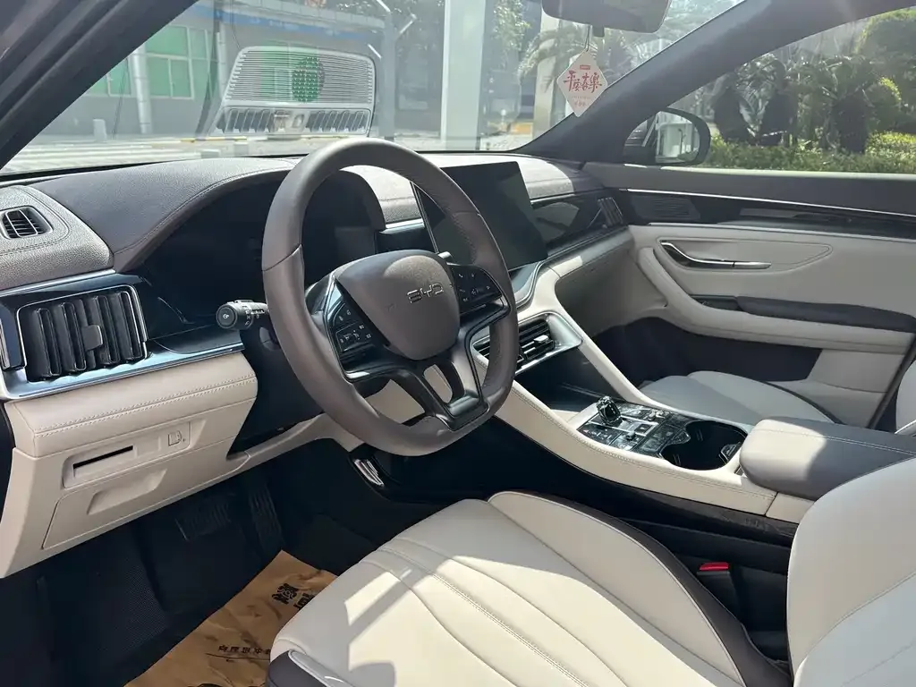 BYD PLUS New Energy — фото 2