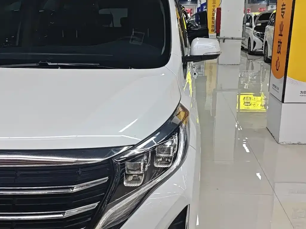 GAC Motor Trumpchi M8 — фото 10