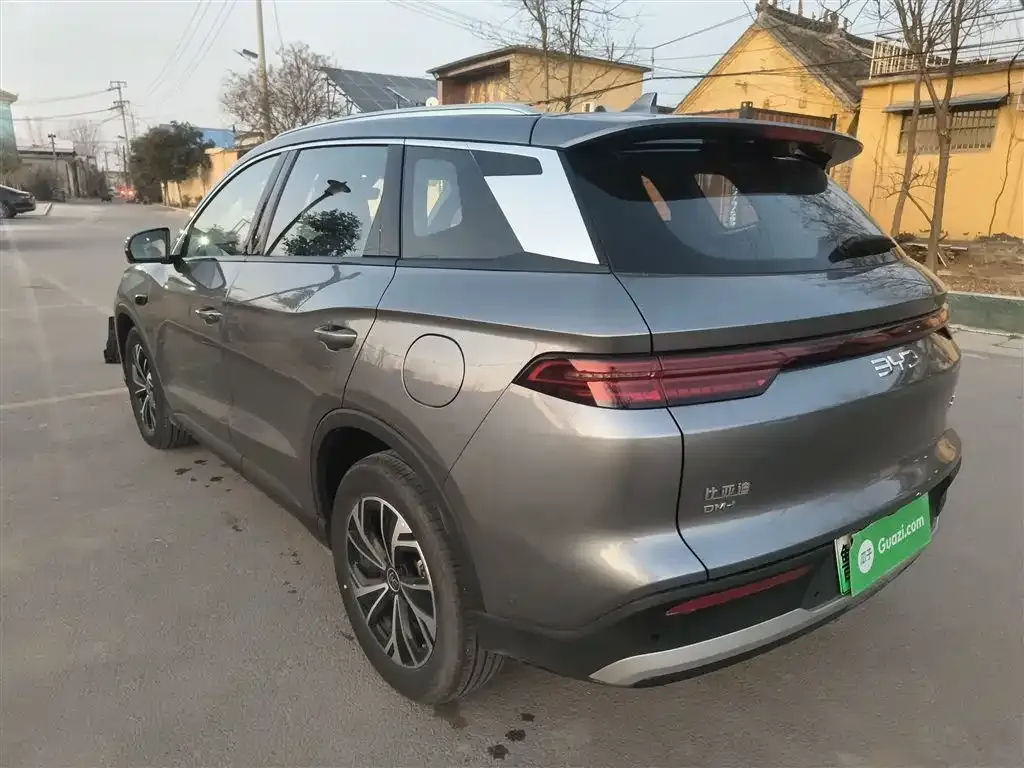 BYD Pro New Energy — фото 10