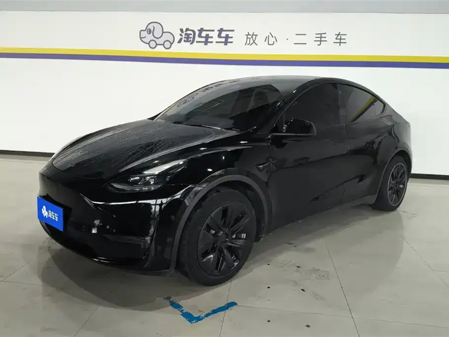 Tesla Model Y — фото 1