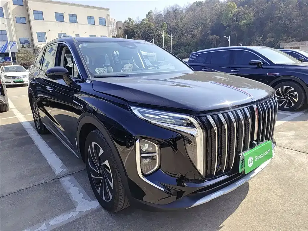 Hongqi HS7 PHEV — фото 9