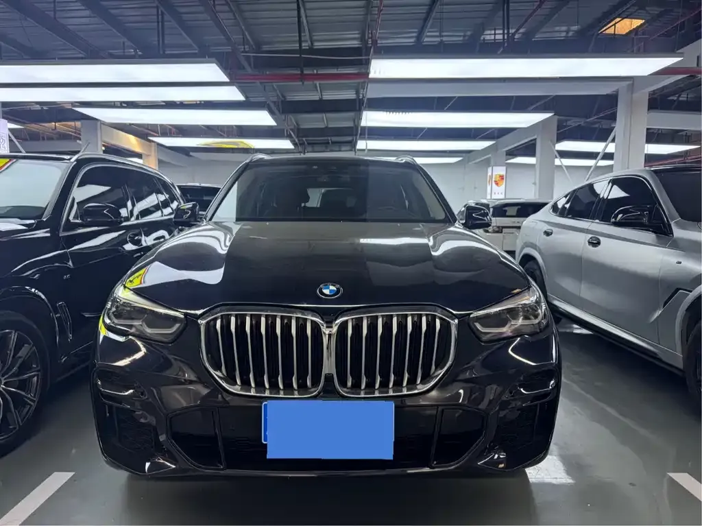 BMW X5 (Import) — фото 2