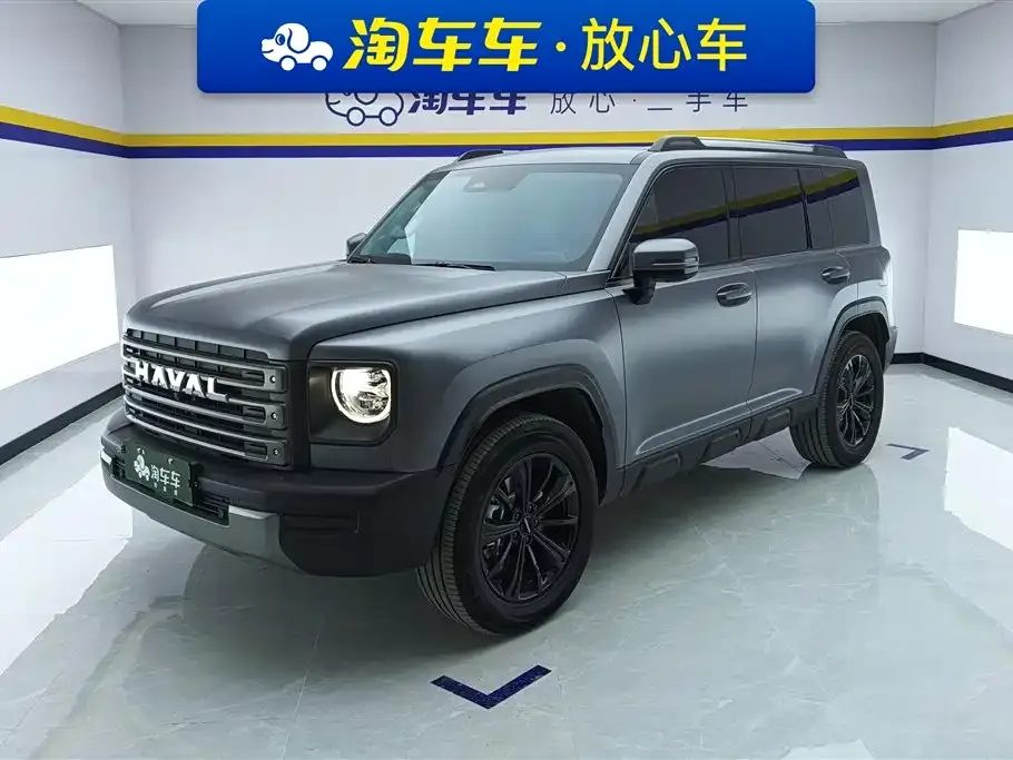 Haval Menglong New Energy — фото 1