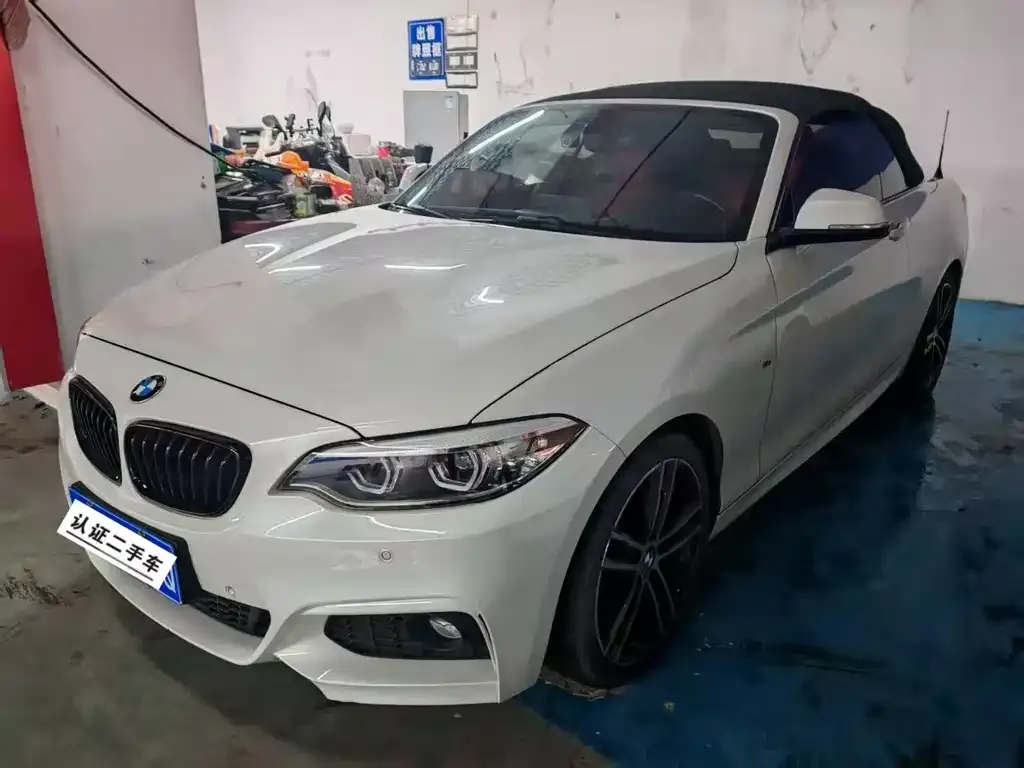 BMW 2 Series (Import) — фото 1