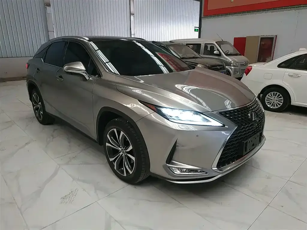 Lexus RX — фото 10