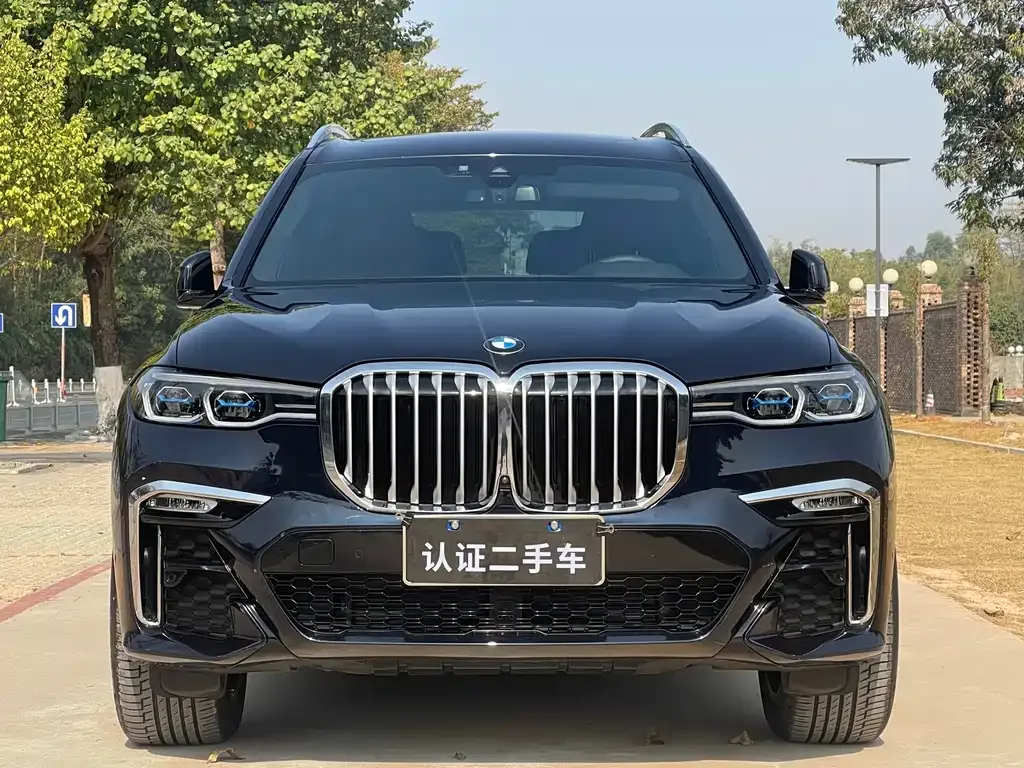 BMW X7 — фото 9