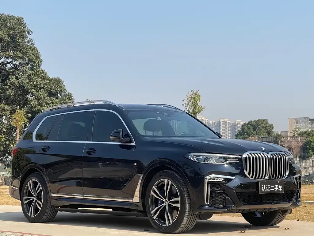 BMW X7 — фото 6